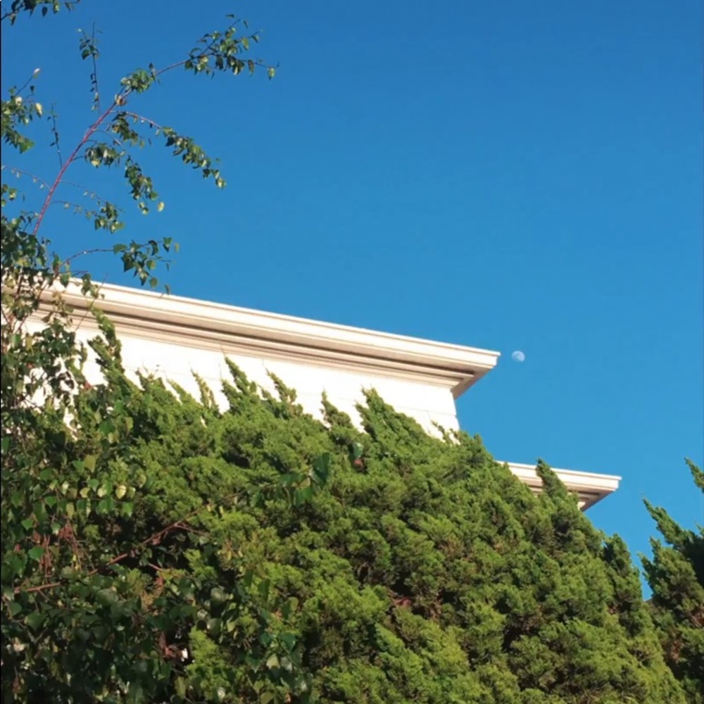 Meet your Posher, Luke